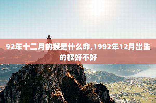 92年十二月的猴是什么命,1992年12月出生的猴好不好