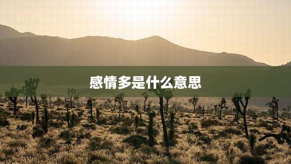 感情多是什么意思