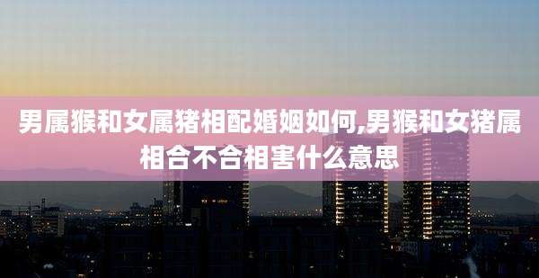 男属猴和女属猪相配婚姻如何,男猴和女猪属相合不合相害什么意思