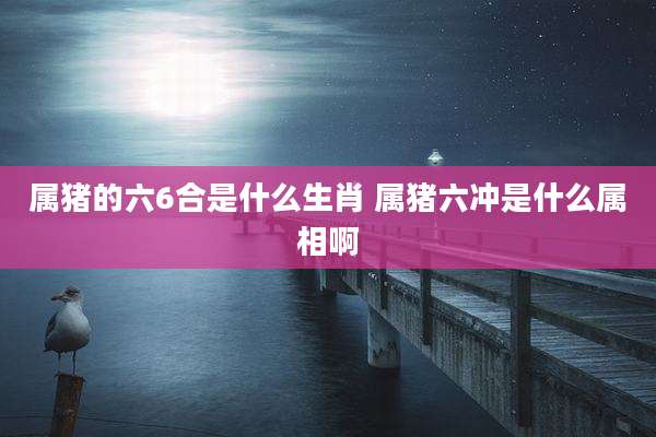 属猪的六6合是什么生肖 属猪六冲是什么属相啊