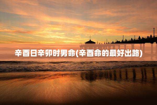 辛酉日辛卯时男命(辛酉命的最好出路)