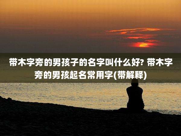 带木字旁的男孩子的名字叫什么好? 带木字旁的男孩起名常用字(带解释)