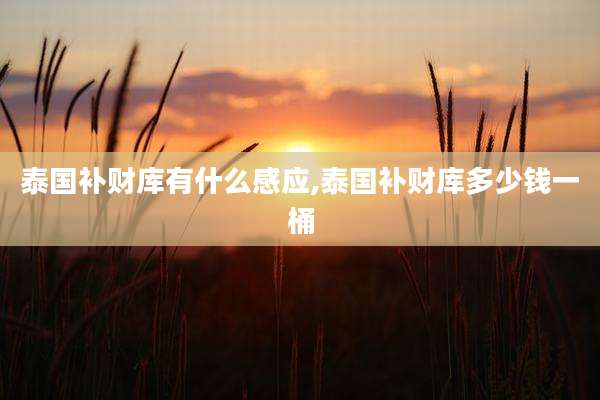 泰国补财库有什么感应,泰国补财库多少钱一桶