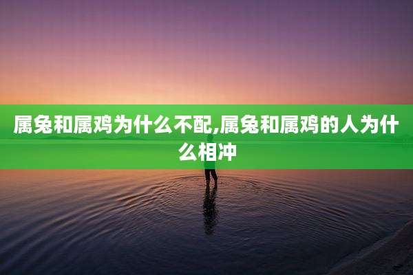属兔和属鸡为什么不配,属兔和属鸡的人为什么相冲
