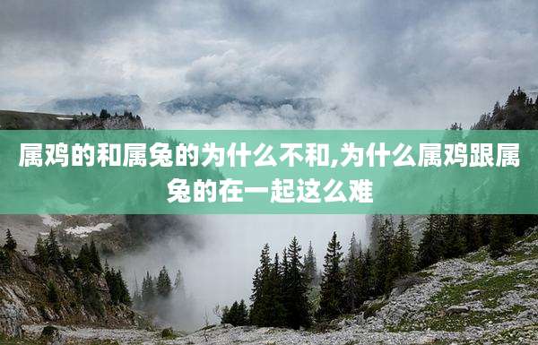 属鸡的和属兔的为什么不和,为什么属鸡跟属兔的在一起这么难