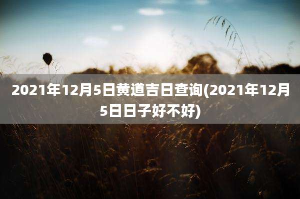 2021年12月5日黄道吉日查询(2021年12月5日日子好不好)