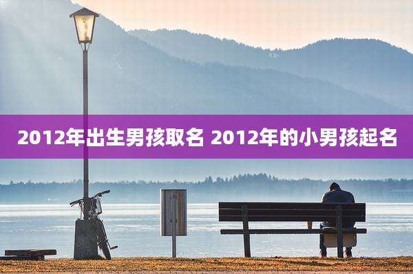 2012年出生男孩取名 2012年的小男孩起名