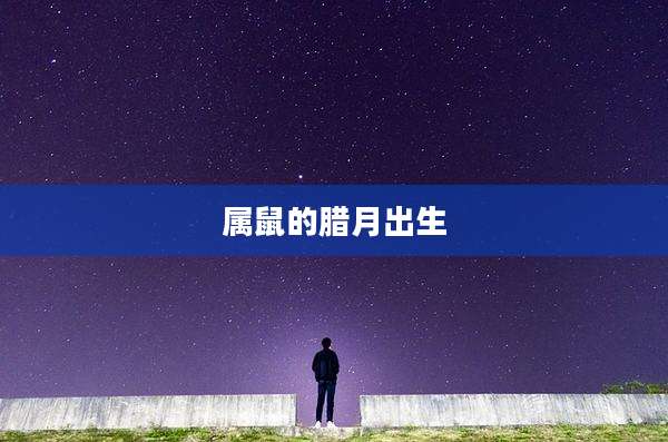 属鼠的腊月出生