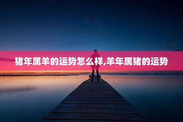 猪年属羊的运势怎么样,羊年属猪的运势