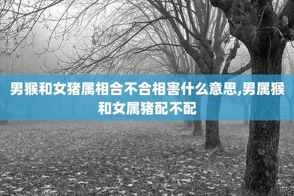 男猴和女猪属相合不合相害什么意思,男属猴和女属猪配不配