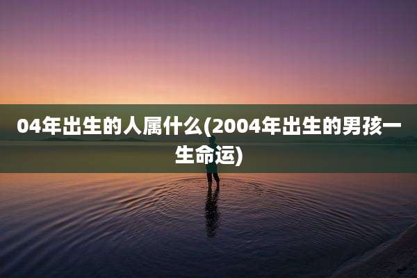 04年出生的人属什么(2004年出生的男孩一生命运)