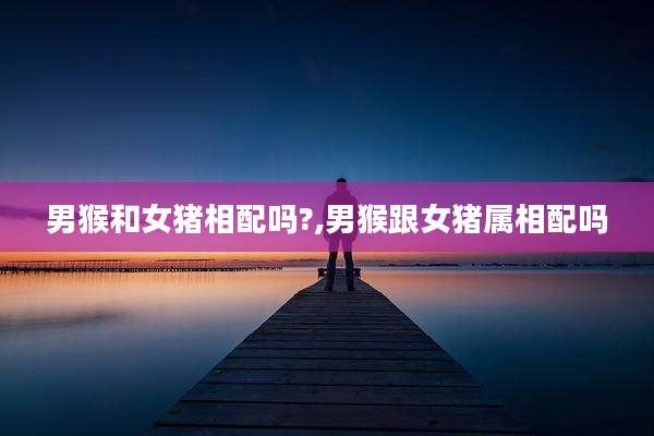男猴和女猪相配吗?,男猴跟女猪属相配吗