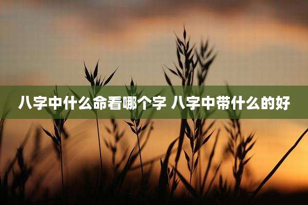八字中什么命看哪个字 八字中带什么的好
