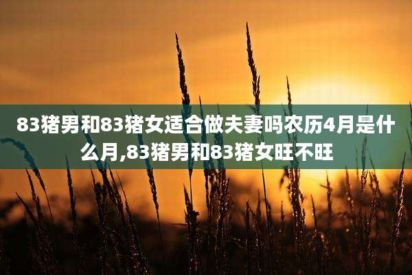 83猪男和83猪女适合做夫妻吗农历4月是什么月,83猪男和83猪女旺不旺