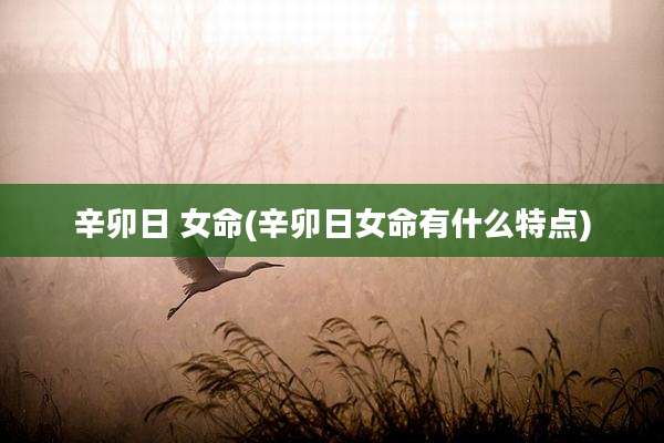 辛卯日 女命(辛卯日女命有什么特点)