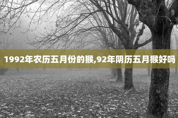 1992年农历五月份的猴,92年阴历五月猴好吗