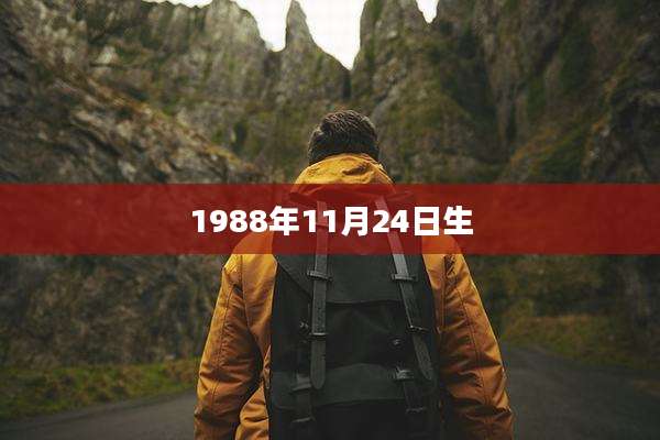 1988年11月24日生