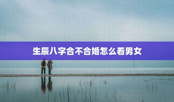 生辰八字合不合婚怎么看男女