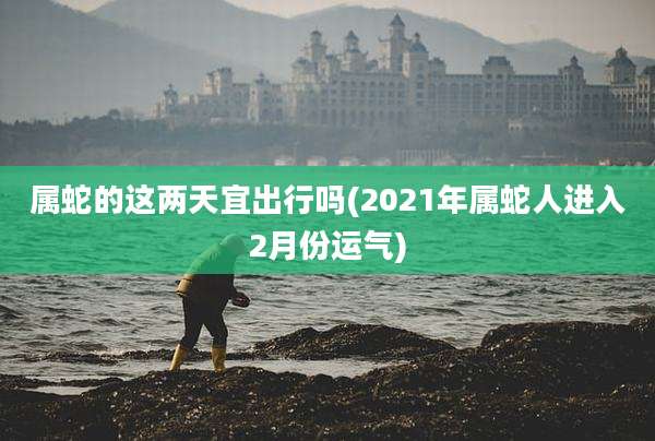 属蛇的这两天宜出行吗(2021年属蛇人进入2月份运气)