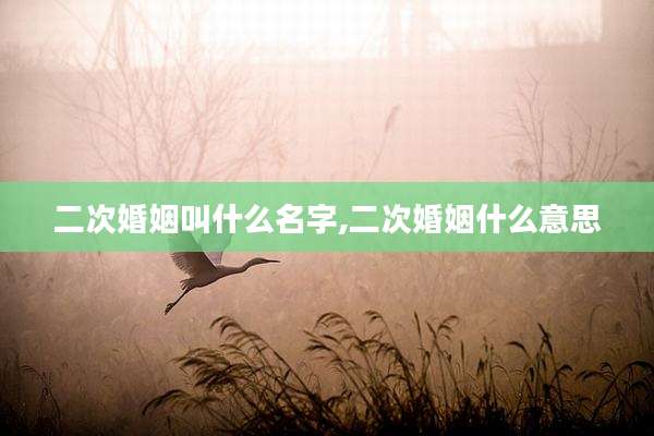 二次婚姻叫什么名字,二次婚姻什么意思