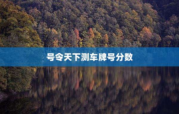 号令天下测车牌号分数