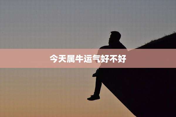 今天属牛运气好不好