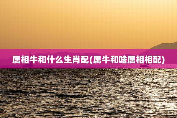 属相牛和什么生肖配(属牛和啥属相相配)