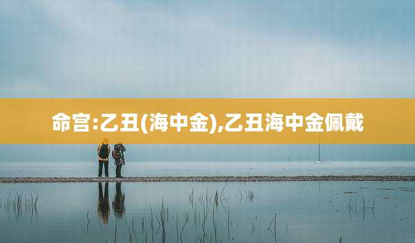 命宫:乙丑(海中金),乙丑海中金佩戴
