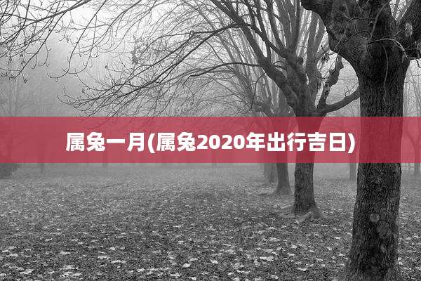 属兔一月(属兔2020年出行吉日)
