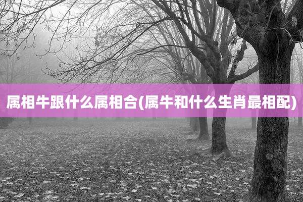属相牛跟什么属相合(属牛和什么生肖最相配)