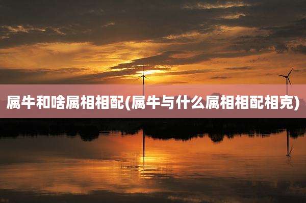 属牛和啥属相相配(属牛与什么属相相配相克)