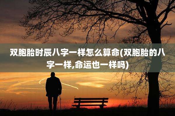 双胞胎时辰八字一样怎么算命(双胞胎的八字一样,命运也一样吗)
