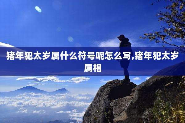 猪年犯太岁属什么符号呢怎么写,猪年犯太岁属相