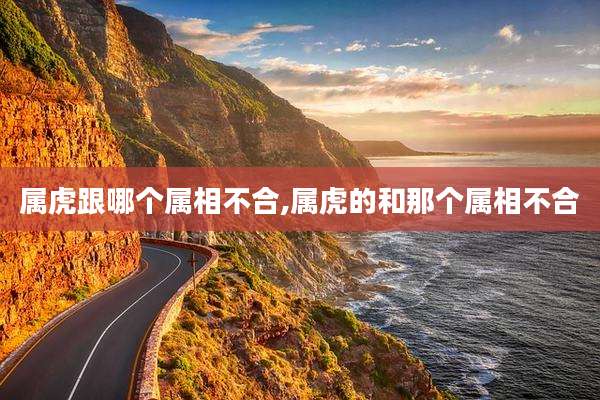 属虎跟哪个属相不合,属虎的和那个属相不合