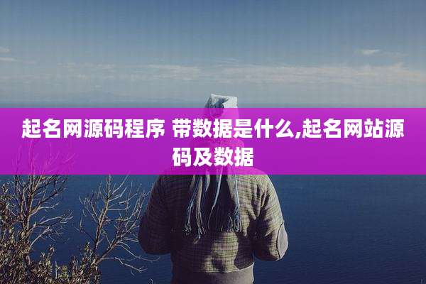 起名网源码程序 带数据是什么,起名网站源码及数据