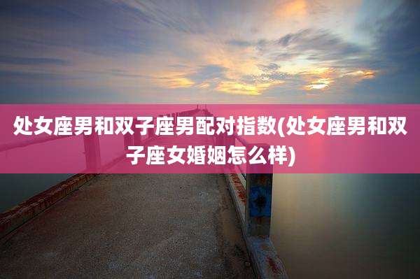 处女座男和双子座男配对指数(处女座男和双子座女婚姻怎么样)