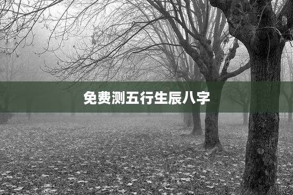 免费测五行生辰八字