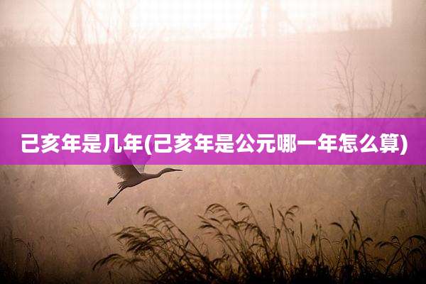 己亥年是几年(己亥年是公元哪一年怎么算)