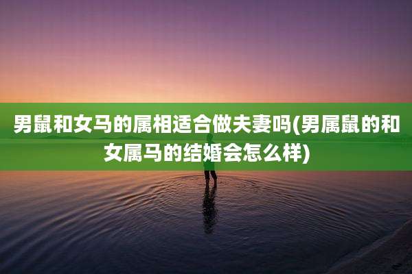 男鼠和女马的属相适合做夫妻吗(男属鼠的和女属马的结婚会怎么样)