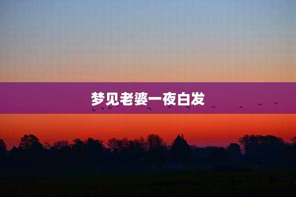 梦见老婆一夜白发
