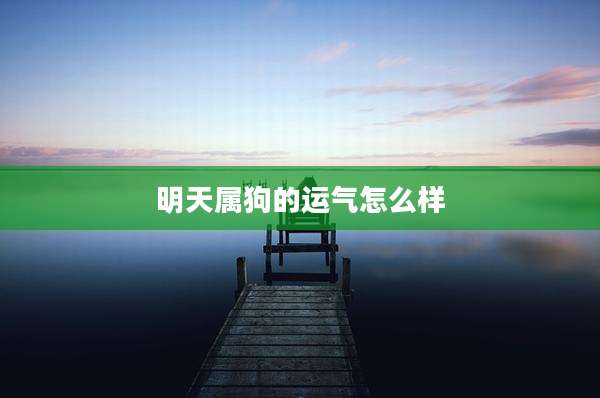 明天属狗的运气怎么样