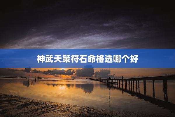 神武天策符石命格选哪个好