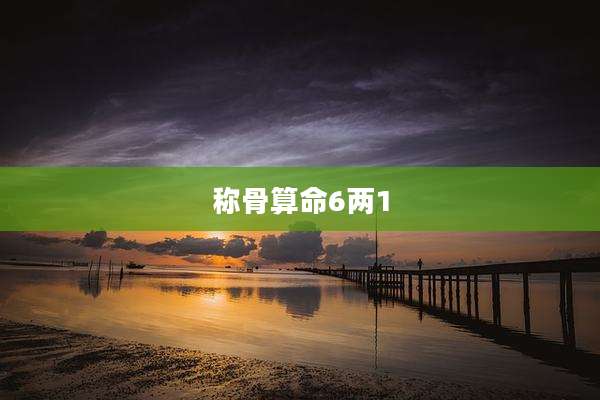 称骨算命6两1