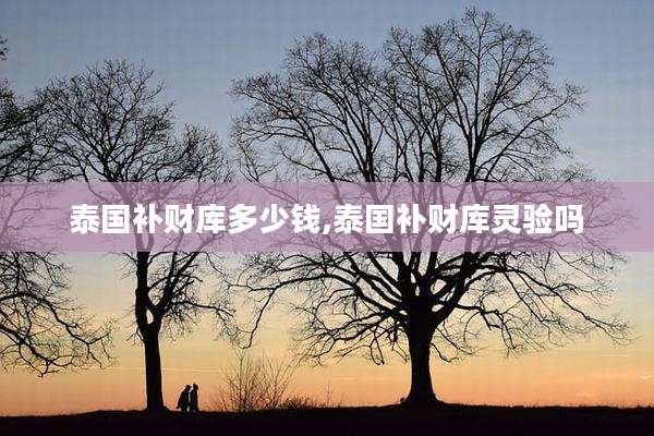 泰国补财库多少钱,泰国补财库灵验吗