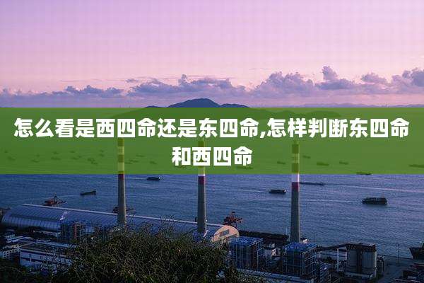 怎么看是西四命还是东四命,怎样判断东四命和西四命