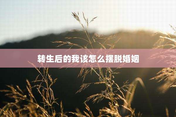 转生后的我该怎么摆脱婚姻