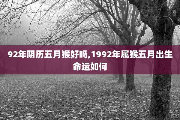 92年阴历五月猴好吗,1992年属猴五月出生命运如何