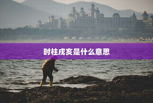 时柱戌亥是什么意思