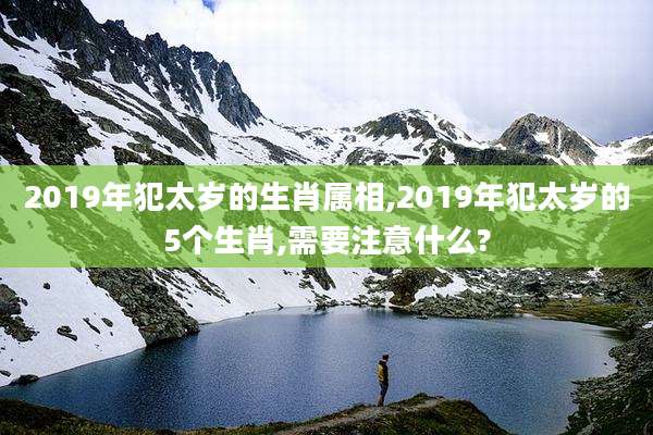 2019年犯太岁的生肖属相,2019年犯太岁的5个生肖,需要注意什么?