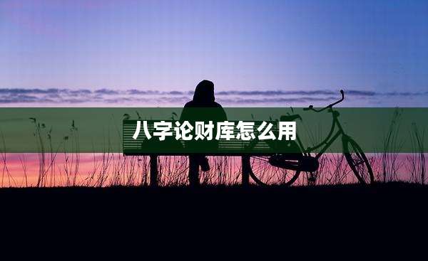 八字论财库怎么用